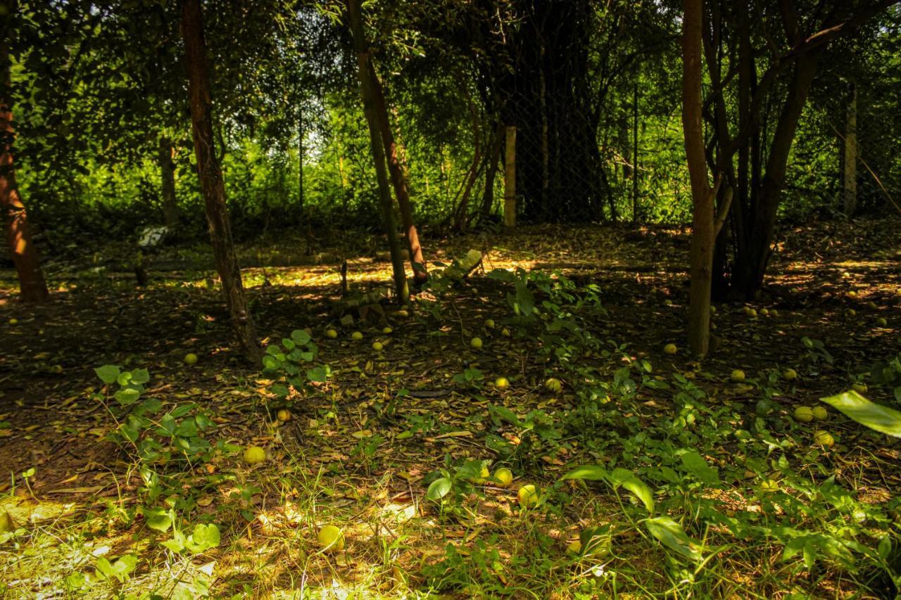 Panna Tiger Resort- Riverside Property Rajgarh  Luaran gambar