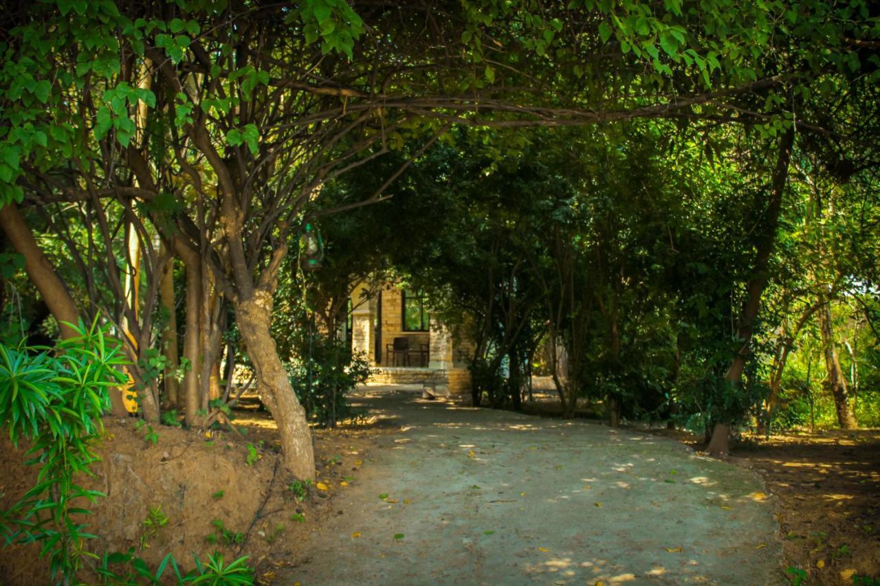 Panna Tiger Resort- Riverside Property Rajgarh  Luaran gambar